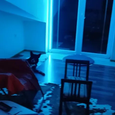 Lägenhet Penthouse Jadranovo