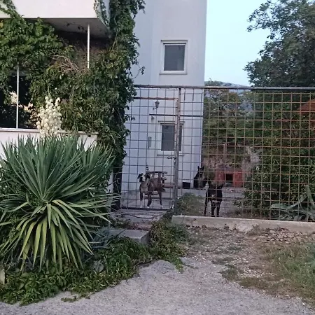 Apartment Penthouse Jadranovo