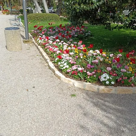Apartment Penthouse Jadranovo